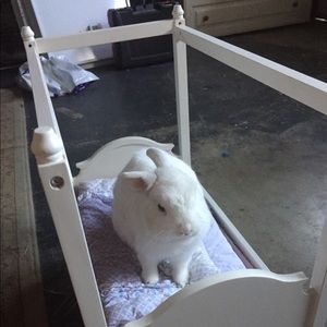 Meet your Posher, Kim